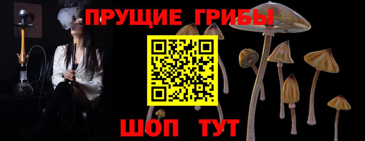Галлюциногенные грибы прущие грибы Дятьково